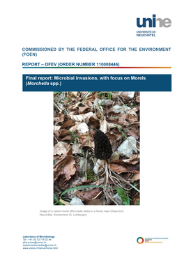 Final Report: Microbial Invasions, with Focus on Morels (Morchella Spp.)