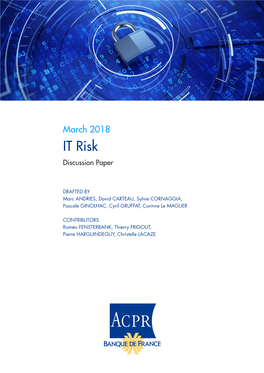 IT Risk Discussion Paper