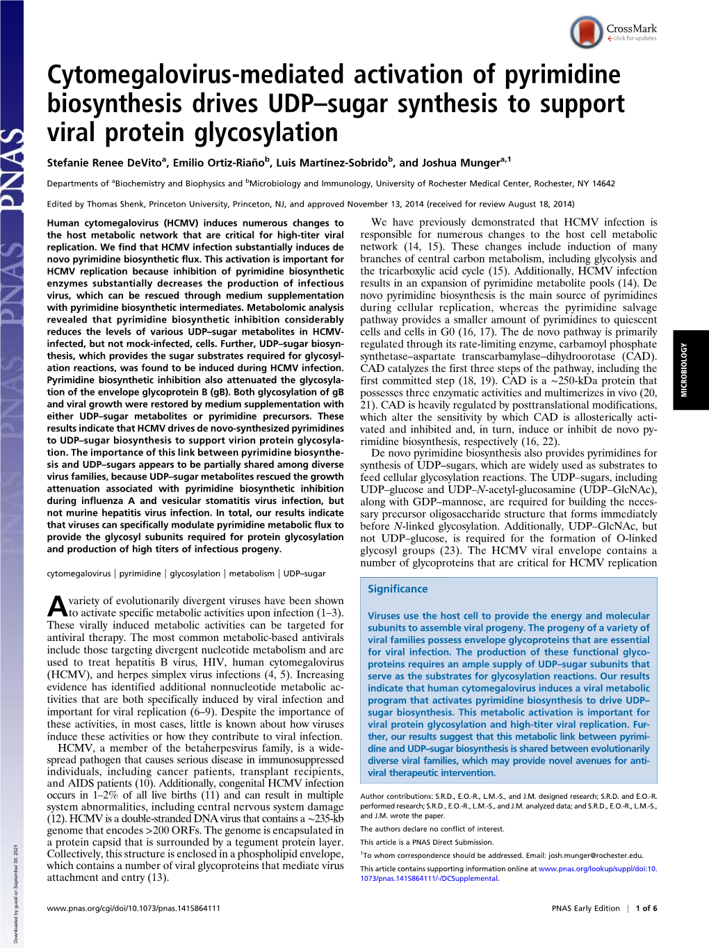 Cytomegalovirus-Mediated Activation of Pyrimidine Biosynthesis Drives UDP–Sugar Synthesis to Support Viral Protein Glycosylation