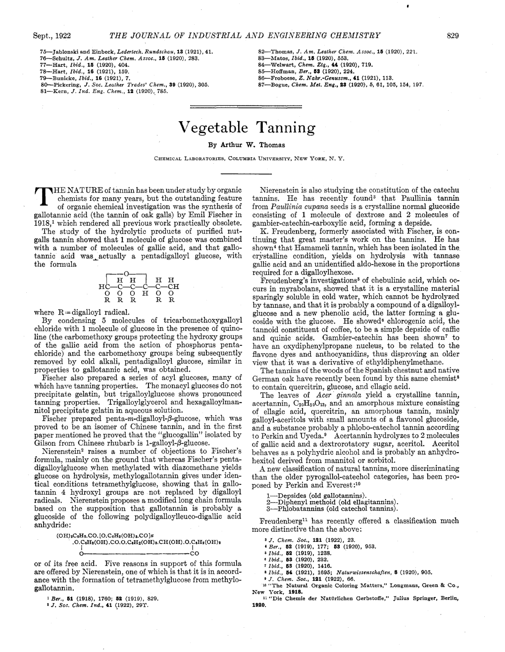 Vegetable Tanning by Arthur W