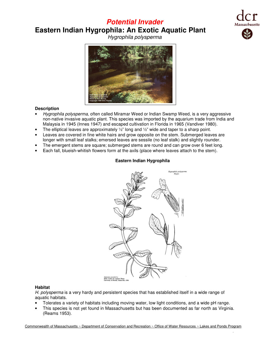 Potential Invader Eastern Indian Hygrophila: an Exotic Aquatic Plant Hygrophila Polysperma