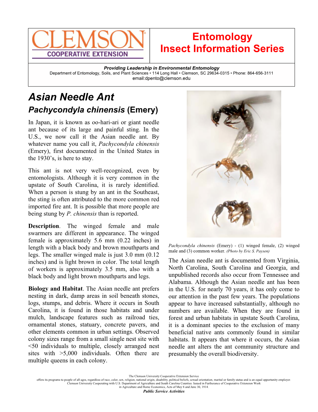 Entomology Insect Information Series Asian Needle