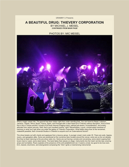 Thievery Corporation by Michael J