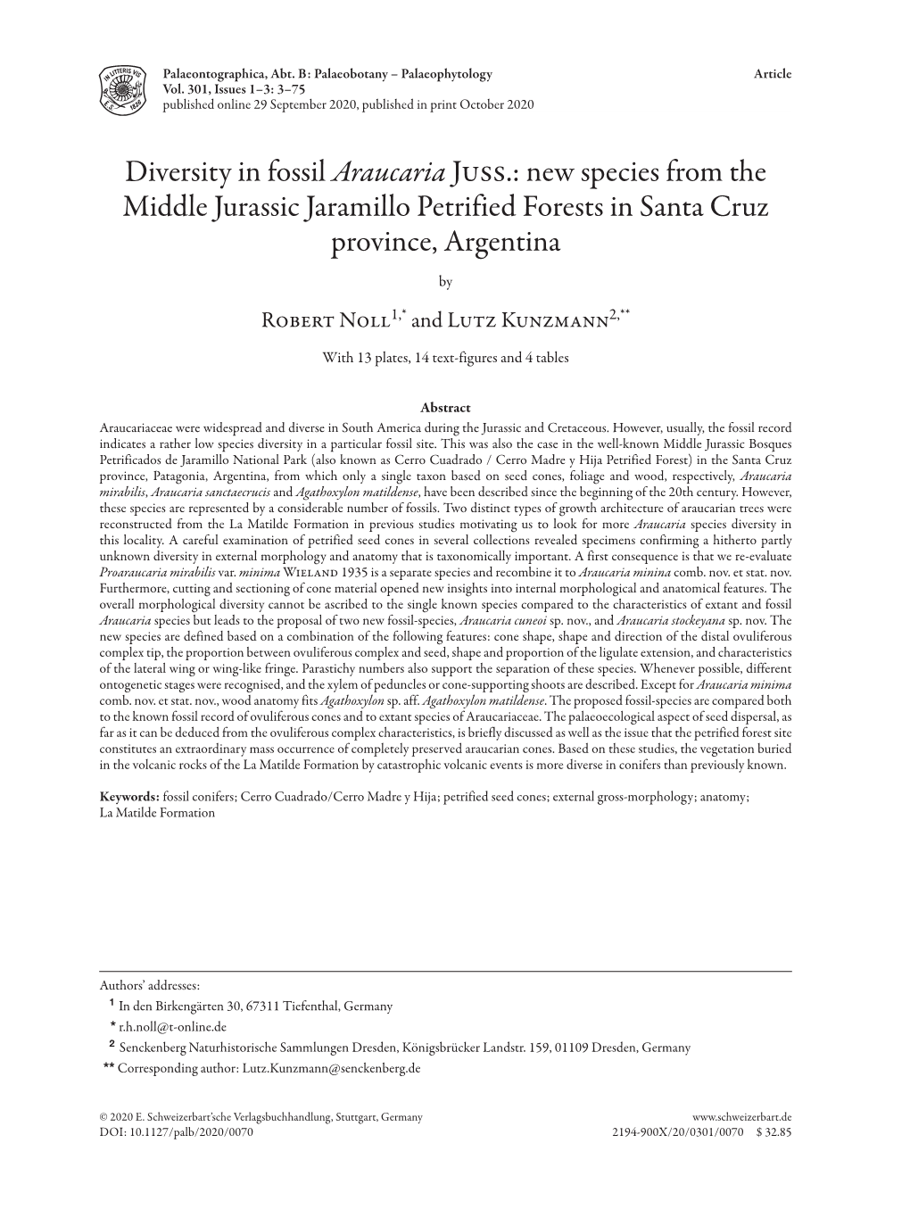 Diversity in Fossil Araucaria Juss.: New Species from the Middle Jurassic