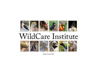 Wildcare Institute