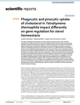 Phagocytic and Pinocytic Uptake of Cholesterol in Tetrahymena