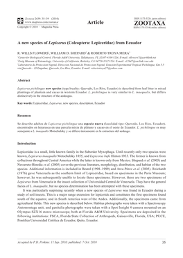 Zootaxa, a New Species of Lepicerus (Coleoptera: Lepiceridae)