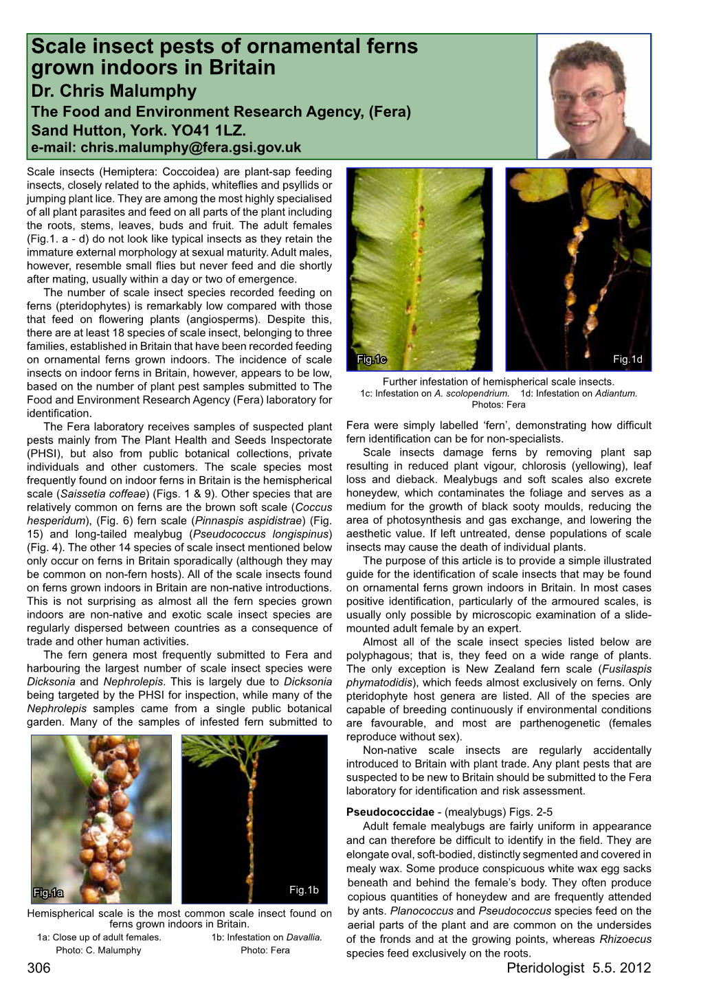 Scale Insect Pests of Ornamental Ferns Grown Indoors in Britain Dr