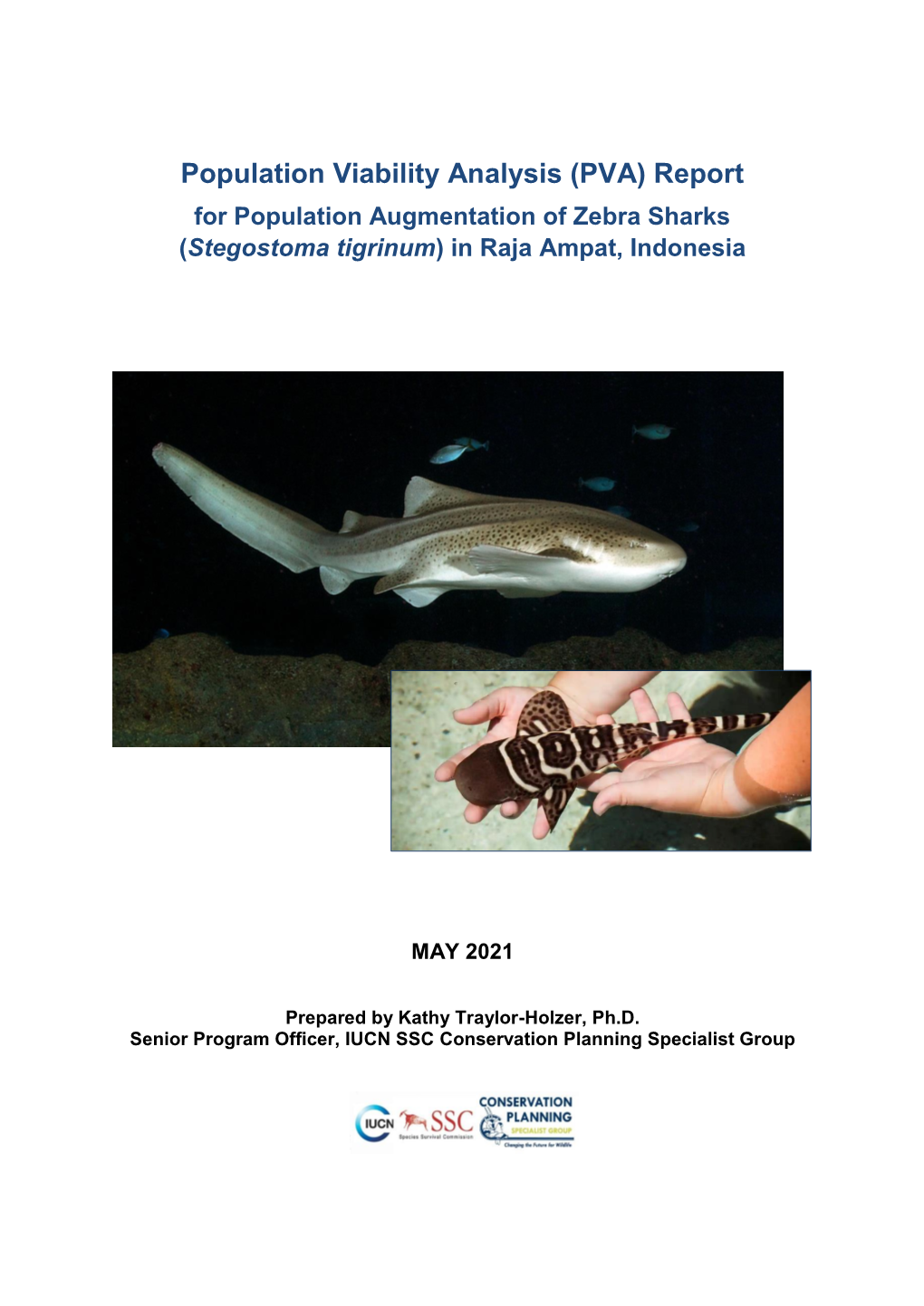 Zebra Shark PVA Final Report May2021.Pdf