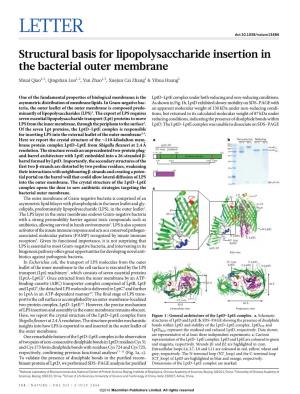 Structural Basis for Lipopolysaccharide Insertion in the Bacterial Outer Membrane