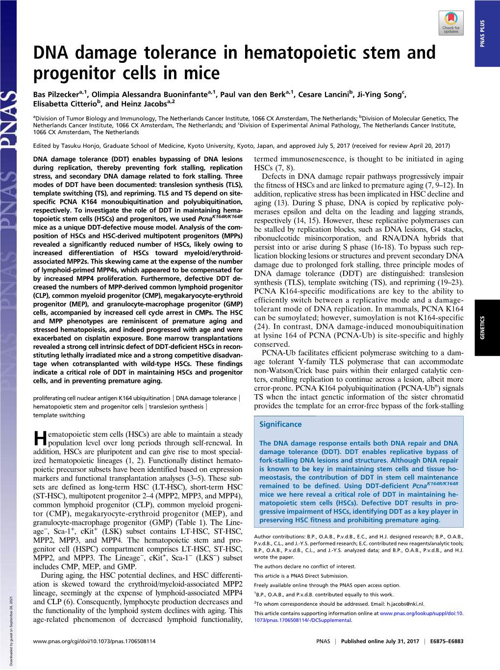 DNA Damage Tolerance in Hematopoietic Stem and Progenitor Cells in Mice