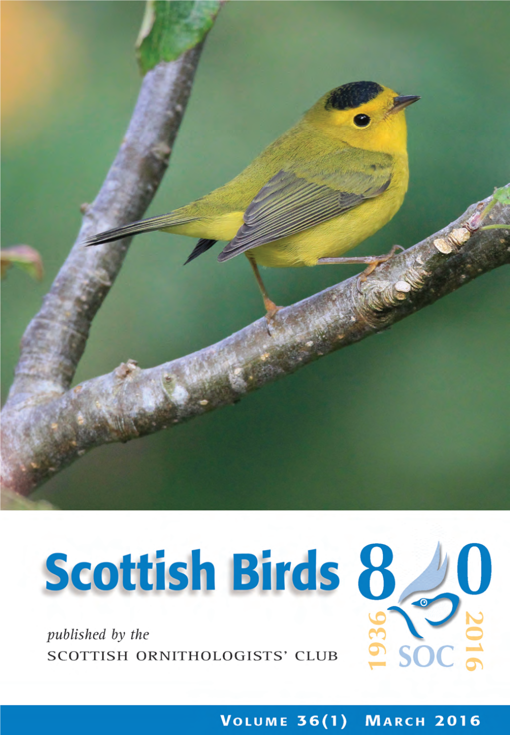 Scottish Birds 36:1 (2016)