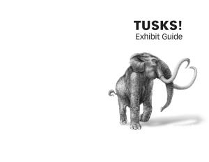 TUSKS! Exhibit Guide.Indd