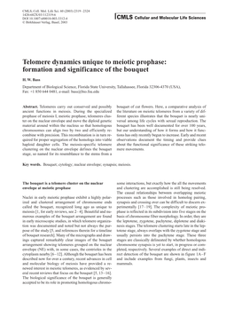 Telomere Dynamics Unique to Meiotic Prophase: Formation and Significance of the Bouquet