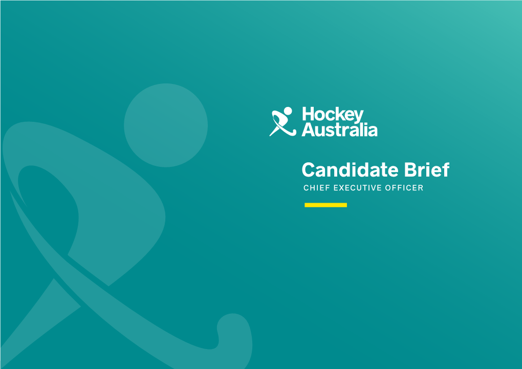 Candidate Brief CHIEF EXECUTIVE OFFICER Overview