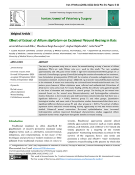 Effect of Extract of Allium Stipitatum on Excisional Wound Healing in Rats Amin Mohammadi-Rika1, Mandana Beigi-Boroujeni2, Asghar Rajabzadeh2, Leila Zarei2,3*