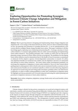 Exploring Opportunities for Promoting Synergies Between Climate Change Adaptation and Mitigation in Forest Carbon Initiatives