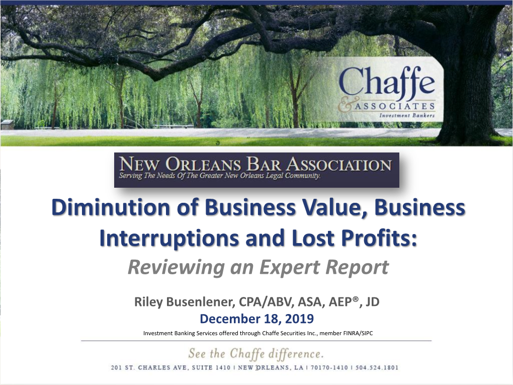 Diminution of Business Value, Business Interruptions and Lost Profits: Reviewing an Expert Report