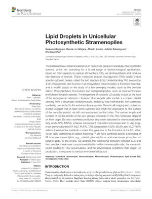 Guéguen-2021-Lipid Droplets.P