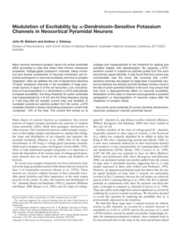 Modulation of Excitability by Α-Dendrotoxin-Sensitive Potassium
