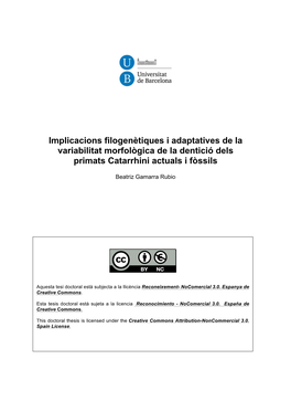 Implicacions Filogenètiques I Adaptatives De La Variabilitat Morfològica De La Dentició Dels Primats Catarrhini Actuals I Fòssils