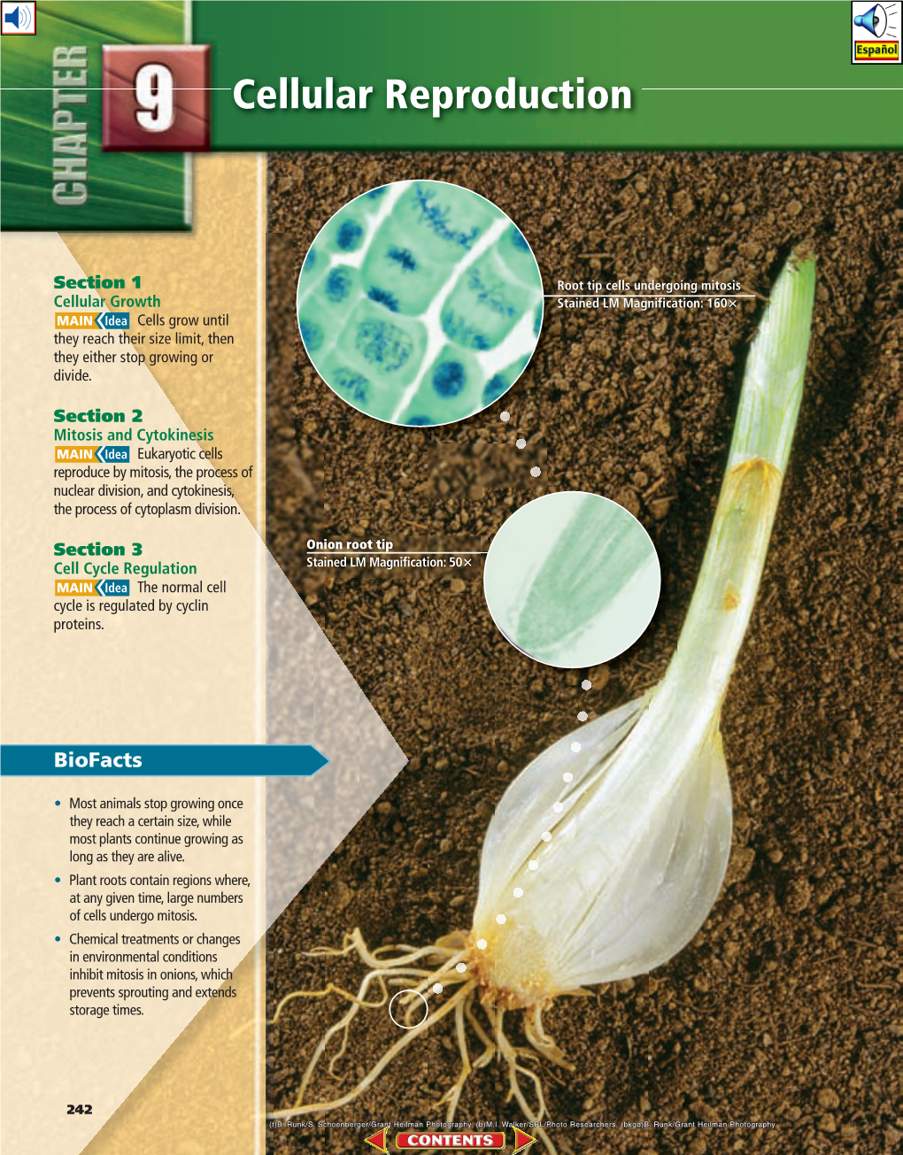 Chapter 9: Cellular Reproduction