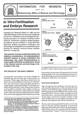 In Vitro Fertilisation and Embryo Research