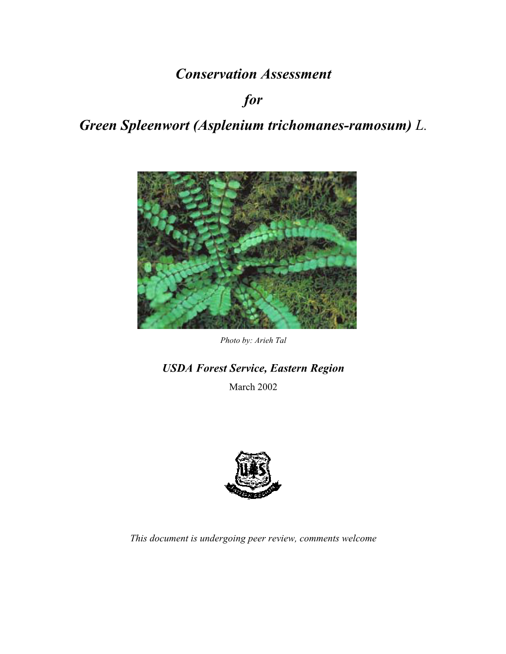 Green Spleenwort (Asplenium Trichomanes-Ramosum) L