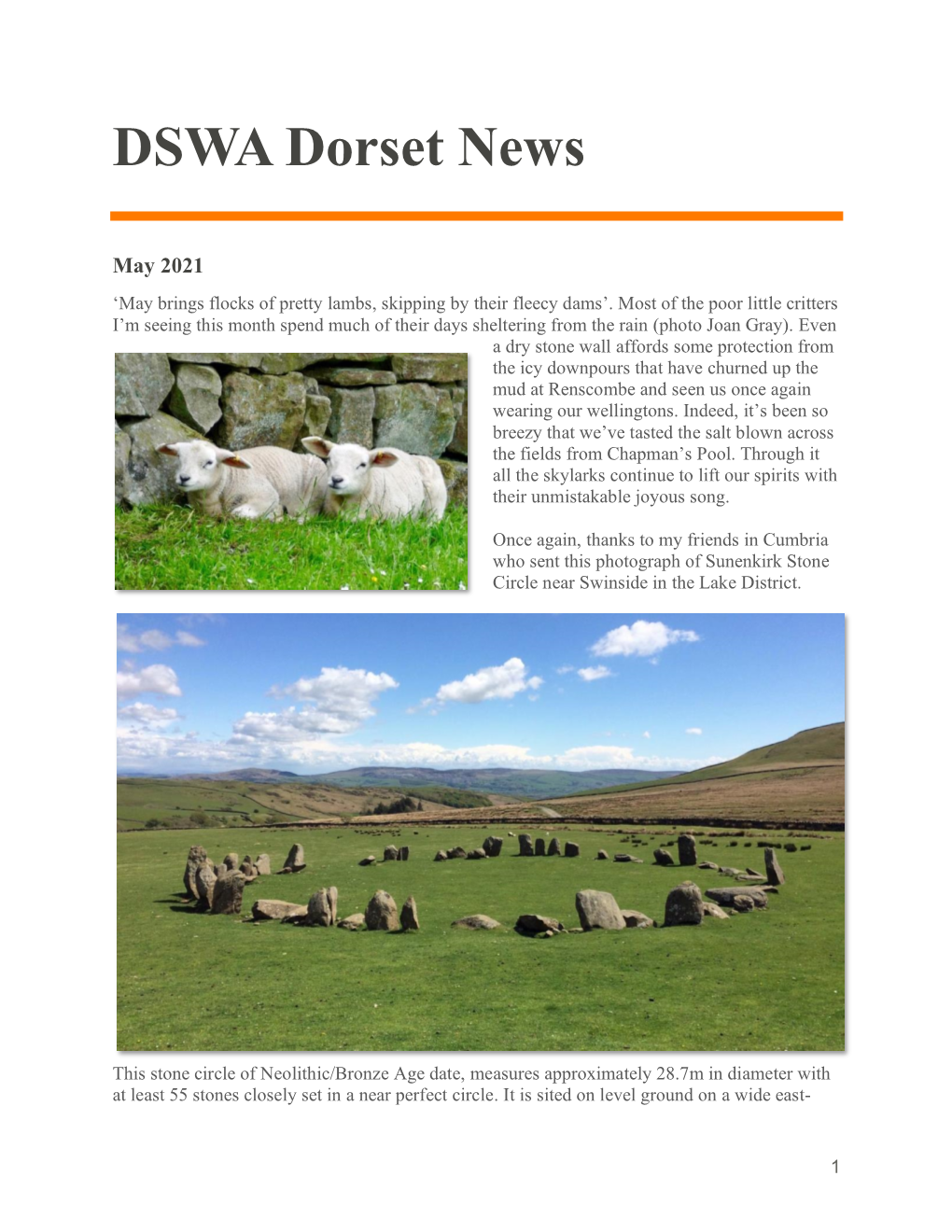 DSWA Dorset News