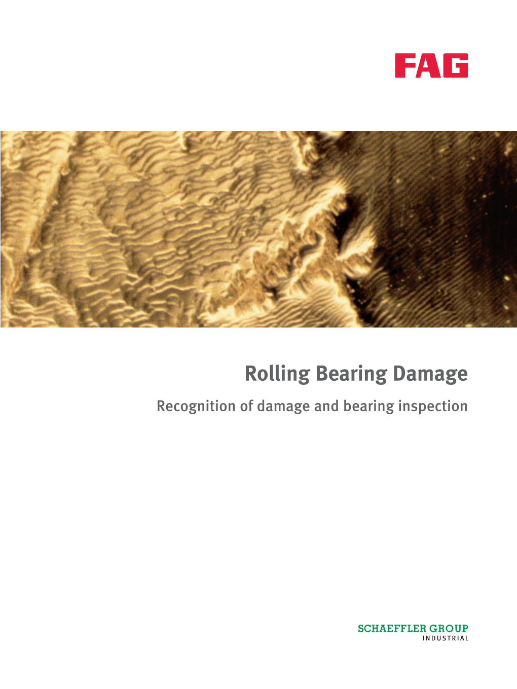 Rolling Bearing Damage: Recognition of Damage and Bearing Inspection