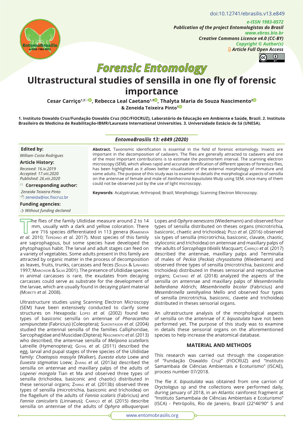 Ultrastructural Studies of Sensilla in One Fly of Forensic Importance