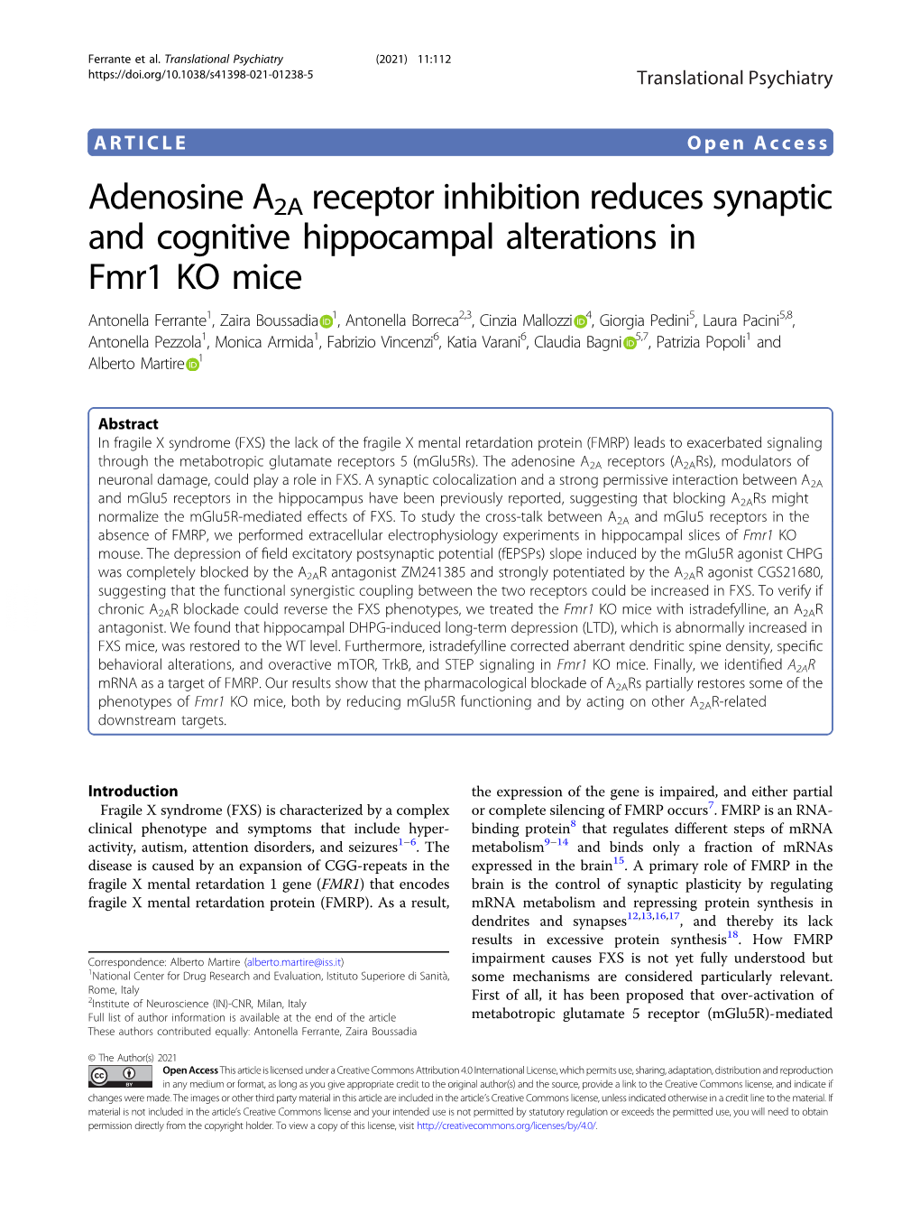 Adenosine A2A Receptor Inhibition Reduces Synaptic and Cognitive