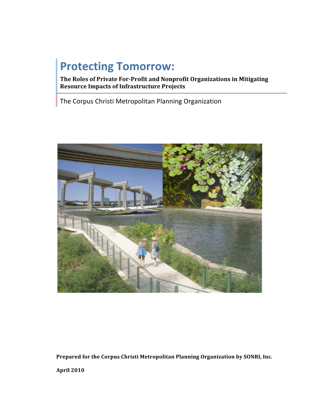 Appendix P: Protecting Tomorrow:The Roles of Private for Profit and Nonprofit Organizations in Mitigating Resource