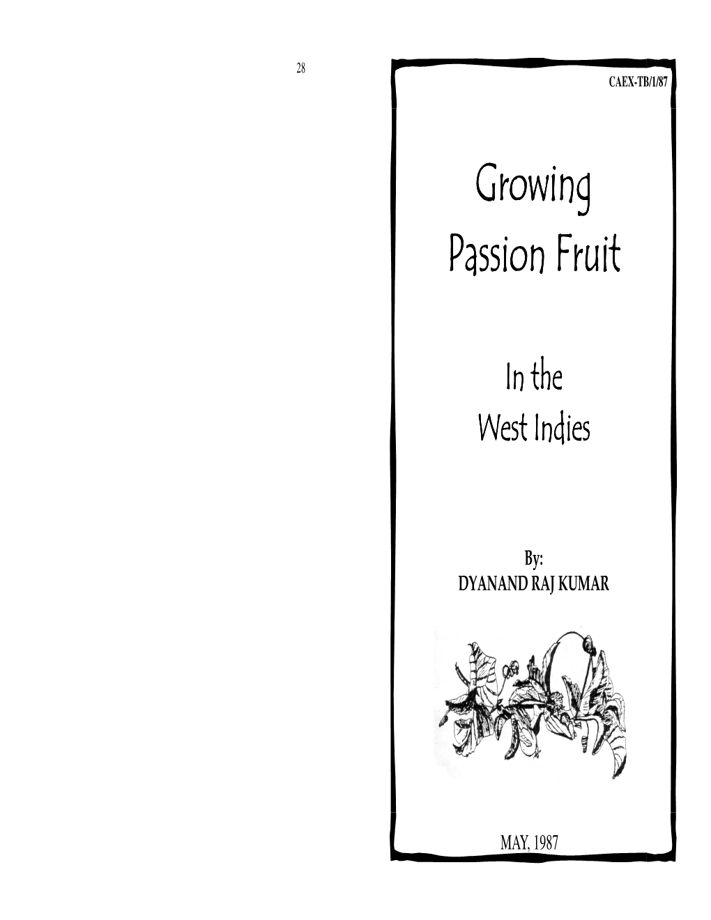 Growing Passion Fruit in the West Indies