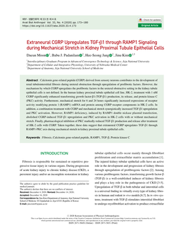 Extraneural CGRP Upregulates TGF-Β1 Through RAMP1 Signaling During Mechanical Stretch in Kidney Proximal Tubule Epithelial Cells