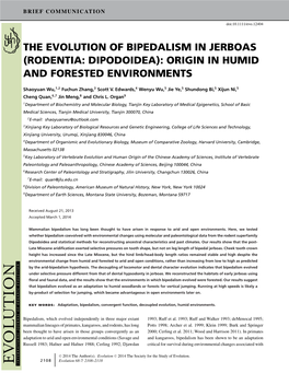 The Evolution of Bipedalism in Jerboas (Rodentia: Dipodoidea): Origin in Humid and Forested Environments