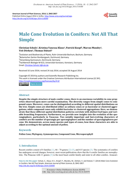 Male Cone Evolution in Conifers: Not All That Simple