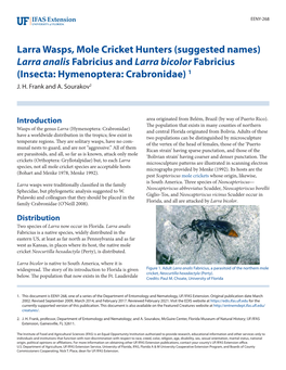 Larra Wasps, Mole Cricket Hunters (Suggested Names) Larra Analis Fabricius and Larra Bicolor Fabricius (Insecta: Hymenoptera: Crabronidae) 1 J