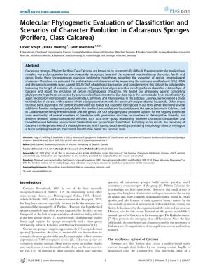 Molecular Phylogenetic Evaluation of Classification and Scenarios of Character Evolution in Calcareous Sponges (Porifera, Class Calcarea)