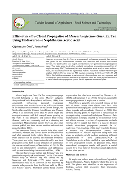 Efficient in Vitro Clonal Propagation of Muscari Neglectum Guss. Ex. Ten Using Thidiazuron- Α Naphthalene Acetic Acid