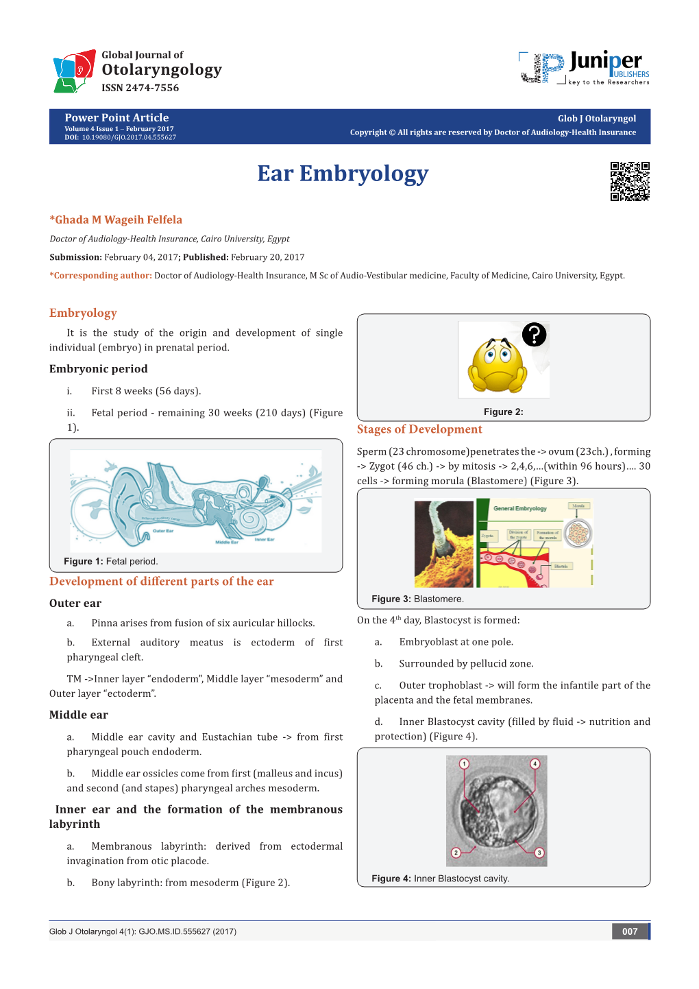 Ear Embryology