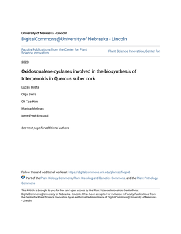 Oxidosqualene Cyclases Involved in the Biosynthesis of Triterpenoids in Quercus Suber Cork