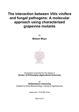 The Interaction Between Vitis Vinifera and Fungal Pathogens: a Molecular Approach Using Characterized Grapevine Mutants