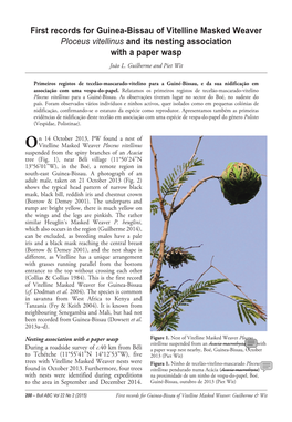 First Records for Guinea-Bissau of Vitelline Masked Weaver Ploceus Vitellinus and Its Nesting Association with a Paper Wasp João L