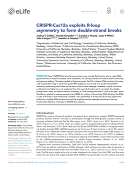 CRISPR-Cas12a Exploits R-Loop Asymmetry to Form Double-Strand Breaks