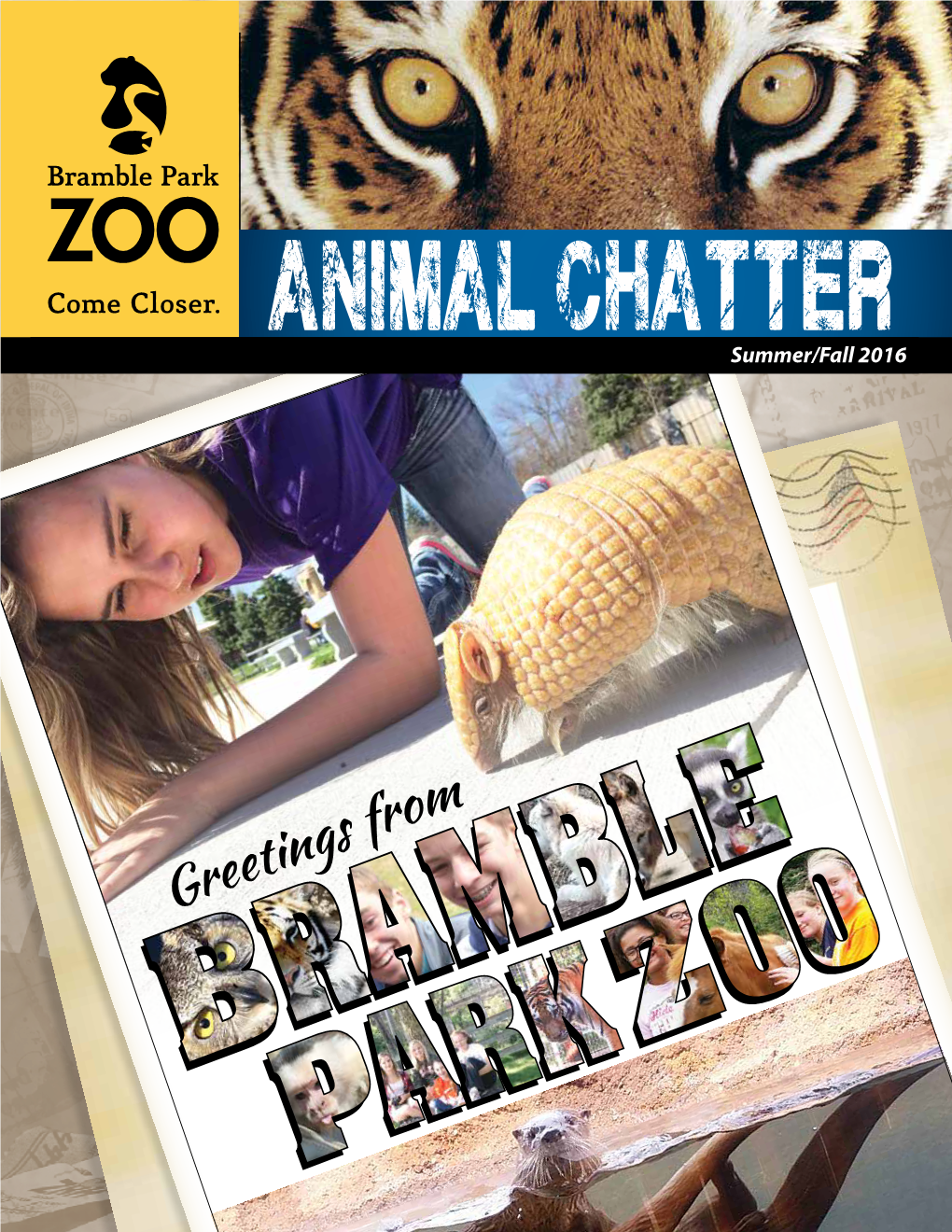 Animal Chatter Summer/Fallfall 20162012