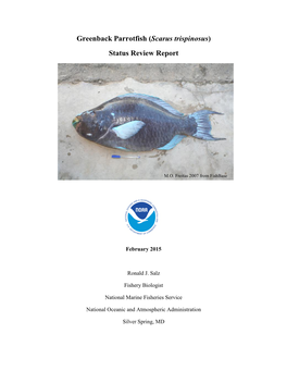 Greenback Parrotfish (Scarus Trispinosus) Status Review Report