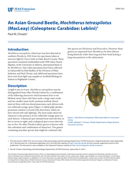 An Asian Ground Beetle, Mochtherus Tetraspilotus (Macleay) (Coleoptera: Carabidae: Lebiini)1 Paul M