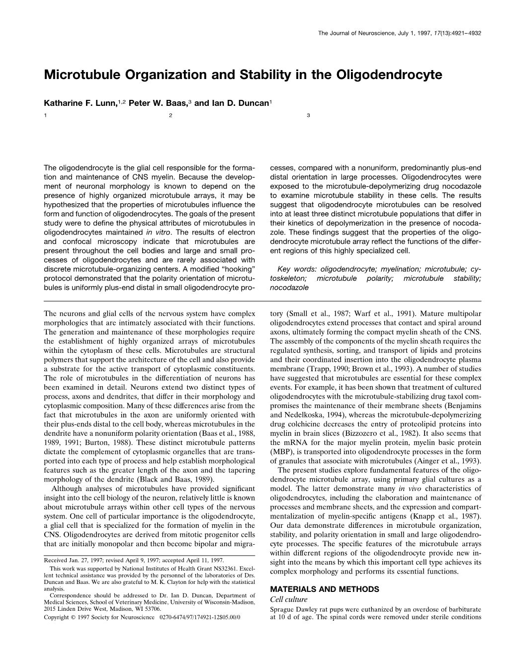 Microtubule Organization and Stability in the Oligodendrocyte