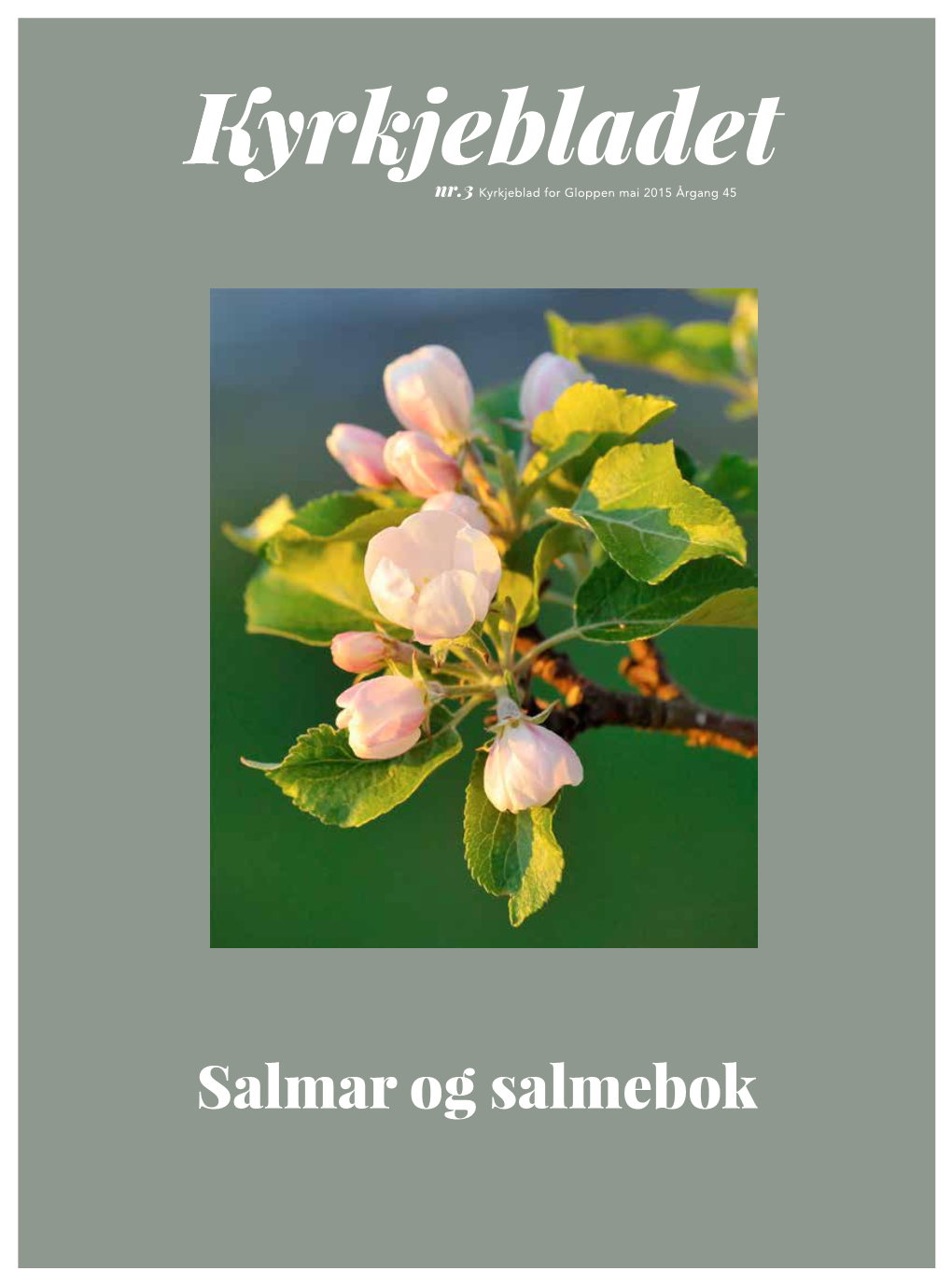 Salmar Og Salmebok Mai 2015 Andakt